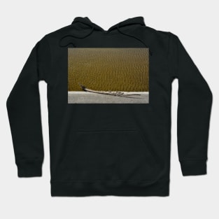 Driftwood Log Next to Rippled Shallow Water Hoodie